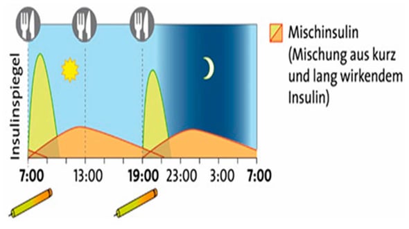 Konventionelle Therapie mit zwei Injektionen mit Mischinsulin. Metformin wird meist dazu gegeben, die Behandlung mit Sulfonylharnstoffe wird zu diesem Moment oft gestoppt. Quelle: © W&B/Ulrike Möhle.