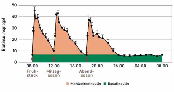 Schematische Darstellung der basalen und prandialen Insulinfreisetzung zu den Mahlzeiten aus den Betazellen der Bauchspeicheldrüse bei einem Gesunden.  Quelle modifiziert nach Kruszynska YT et al.: Basal and 24-h C-peptide and insulin secretion rate in normal man. Diabetologia. 1987; 30:16–21.